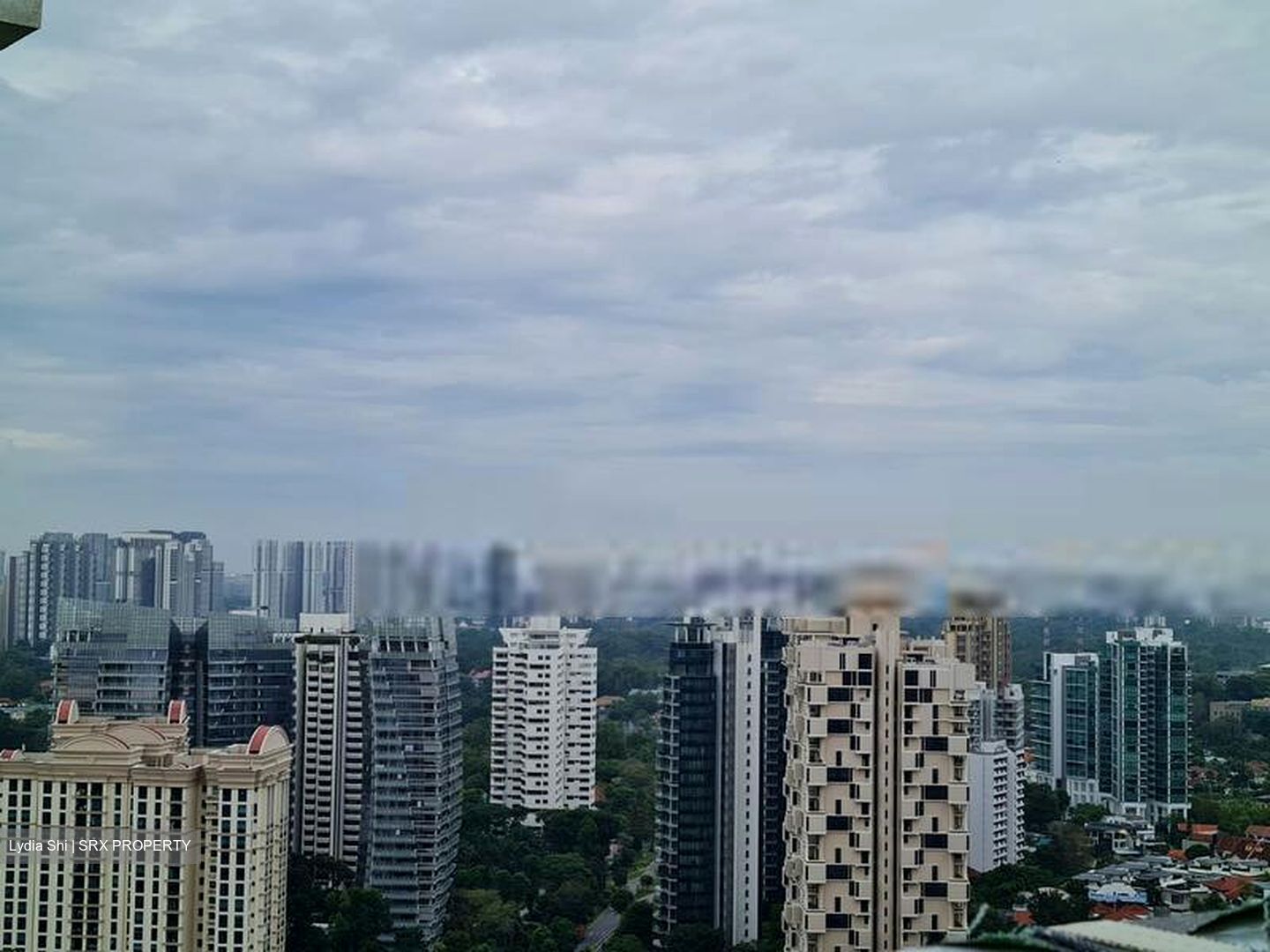 Leonie Suites (D9), Apartment #406647821